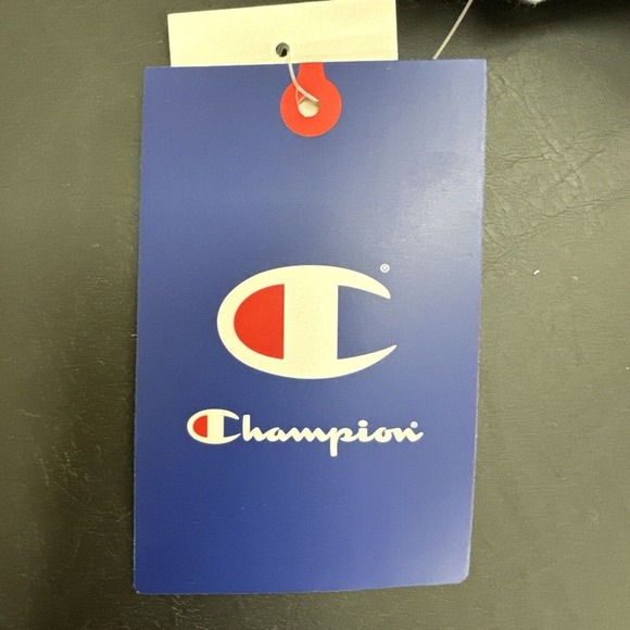 NWT CHAMPION Hoodie Girls Size XL LOGO Heather Gray Sweatshirt - Picture 3 of 5